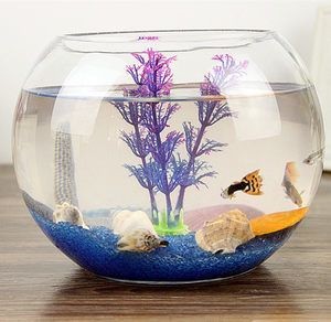 天津市濱海新區(qū)天泉閣水族館（天津市濱海新區(qū)天泉閣水族館電話）