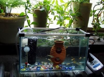 寵寶它魚缸：寵寶它魚缸與海馬魚缸對比亞克力魚缸過濾系統選購指南 寵寶它魚缸：寵寶它魚缸與海馬魚缸對比亞克力魚缸過濾系統選購指南 魚缸百科 第5張
