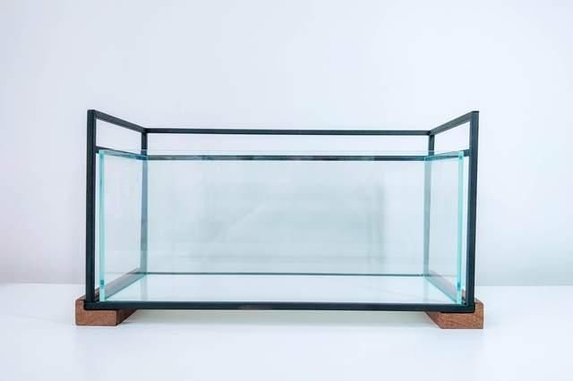 海陽市魚缸配件批發市場：海洋生物多樣性保護