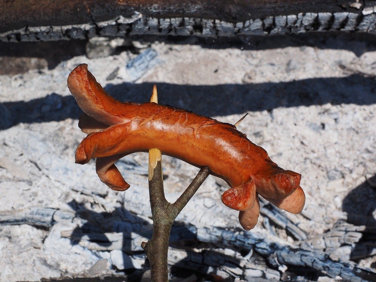 銀龍魚喂什么食長得快，喂食原則是什么