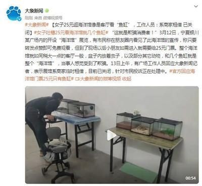 魚缸里的魚怎么發朋友圈（在朋友圈分享魚缸里的魚，可以采用多種方式吸引朋友們的注意力）