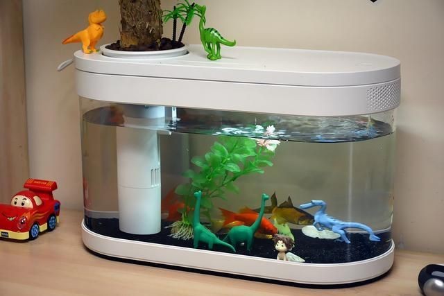 小米魚缸如何換水視頻：如何通過視頻學習小米魚缸換水方法