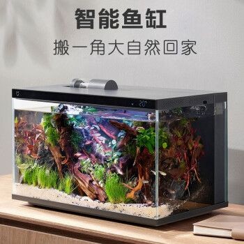 小米魚缸如何換水視頻：如何通過視頻學習小米魚缸換水方法