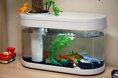 小米魚缸如何換水視頻：如何通過視頻學習小米魚缸換水方法