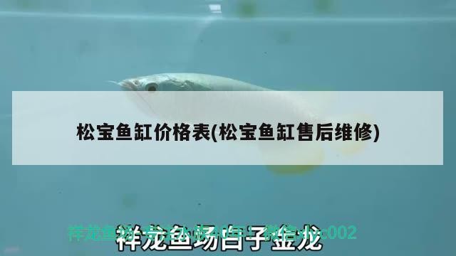 銀龍魚和什么魚能一起養呢視頻（銀龍和什么魚可以一起養）