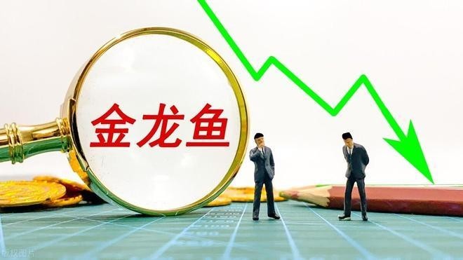 金龍魚高管團隊中誰最有權？