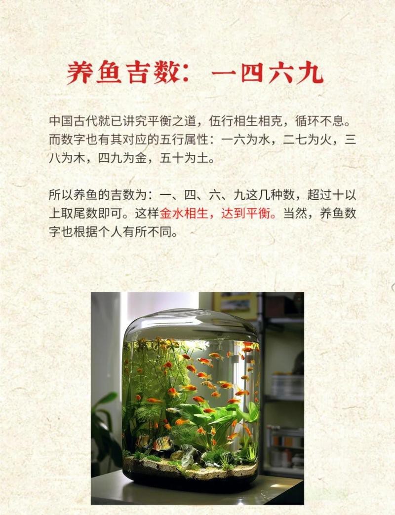 屬龍人養魚大忌