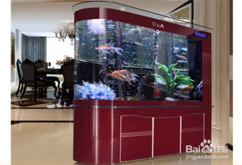 如何選擇魚缸照明設備：水族箱植物光照需求指南魚缸照明設備維護技巧