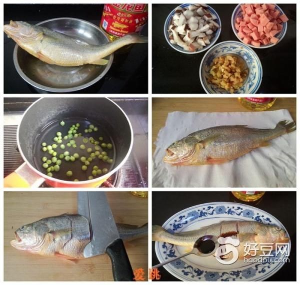 野生小金龍魚是黃花魚嗎（野生小金龍魚屬于黃花魚嗎？） 野生小金龍魚是黃花魚嗎（野生小金龍魚屬于黃花魚嗎？） 龍魚百科 第4張