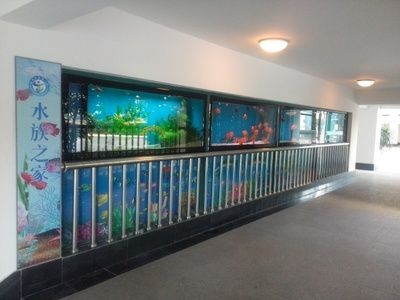 水族主題相關批發：水族批發市場有哪些？