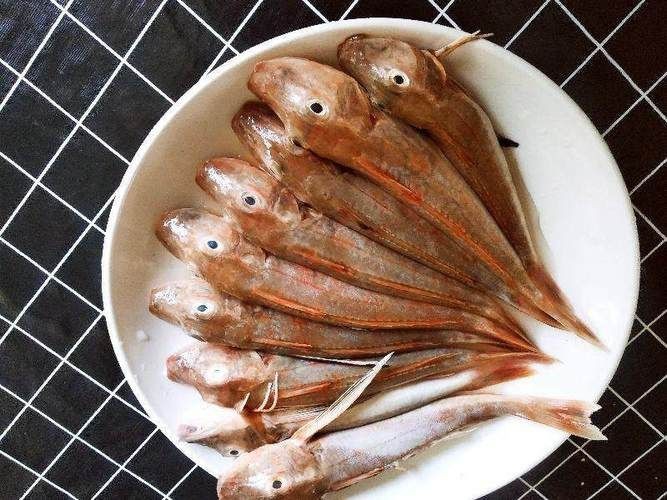 紅頭魚圖片 龍魚論壇 第5張 紅頭魚圖片 紅頭魚圖片 龍魚論壇 第5張