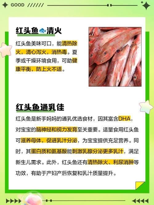 紅頭魚圖片 龍魚論壇 第15張 紅頭魚圖片 紅頭魚圖片 龍魚論壇 第15張