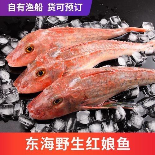 紅頭魚圖片 龍魚論壇 第23張 紅頭魚圖片 紅頭魚圖片 龍魚論壇 第23張
