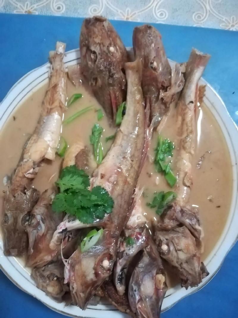 紅頭魚圖片 龍魚論壇 第26張 紅頭魚圖片 紅頭魚圖片 龍魚論壇 第26張