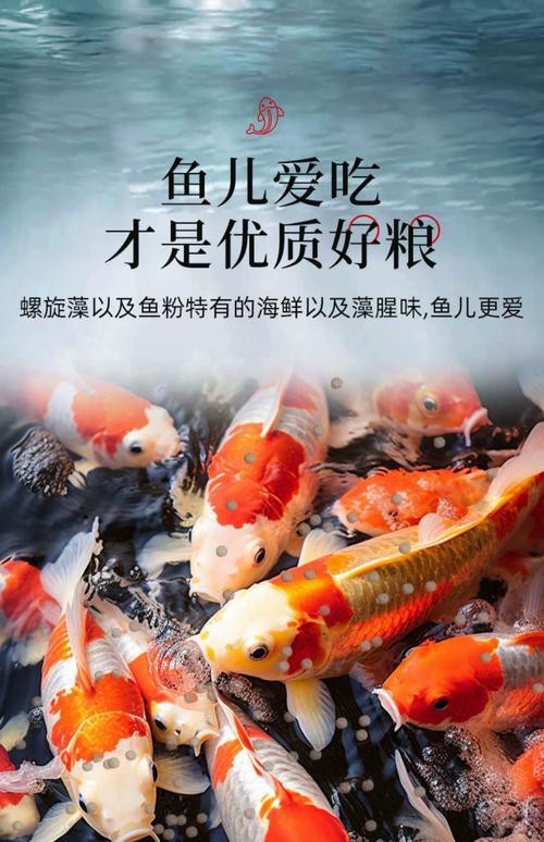 有哪些食物有助于過背金龍發色？ 有哪些食物有助于過背金龍發色？ 龍魚百科 第8張