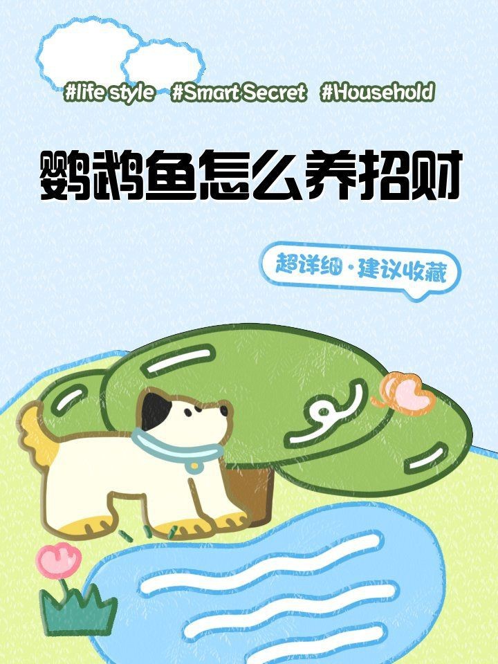 紅鸚鵡魚養幾條最旺財
