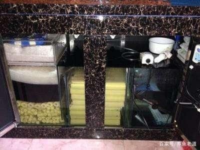 魚缸濾材最佳搭配表：魚缸濾材最佳搭配表詳情 魚缸濾材最佳搭配表：魚缸濾材最佳搭配表詳情 魚缸百科 第1張