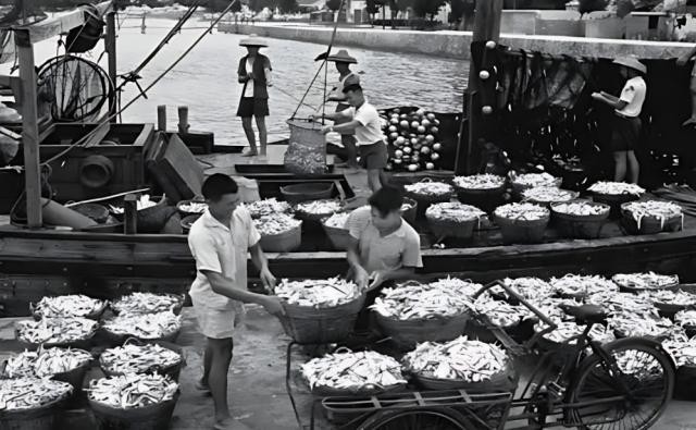 深圳國際漁業(yè)博覽會龍魚展區(qū)情況 深圳國際漁業(yè)博覽會龍魚展區(qū)情況 2025長城杯龍魚大賽 第4張