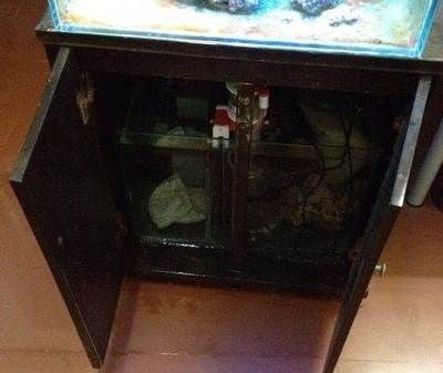 廣州魚(yú)缸回收市場(chǎng)的現(xiàn)狀分析廣州魚(yú)缸回收市場(chǎng)的現(xiàn)狀分析：如何在廣州尋找回收魚(yú)缸的服務(wù) 廣州魚(yú)缸回收市場(chǎng)的現(xiàn)狀分析廣州魚(yú)缸回收市場(chǎng)的現(xiàn)狀分析：如何在廣州尋找回收魚(yú)缸的服務(wù) 魚(yú)缸百科 第4張