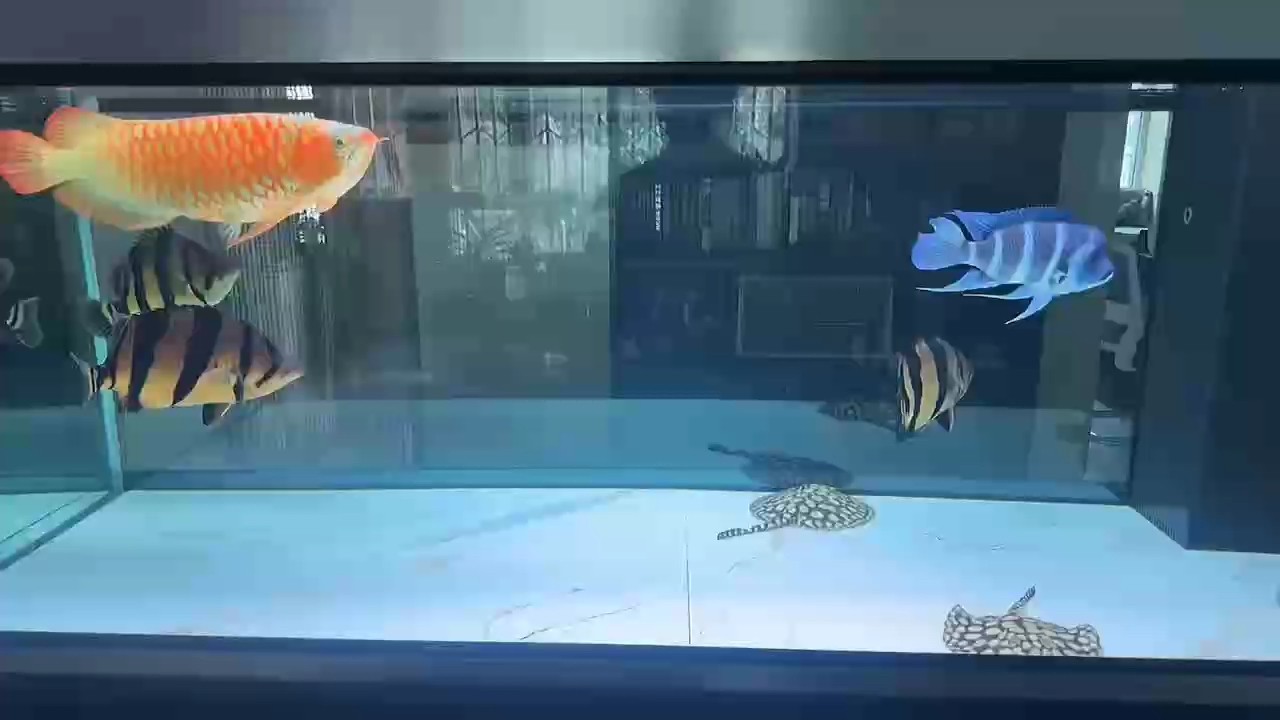 此時(shí)此刻起
