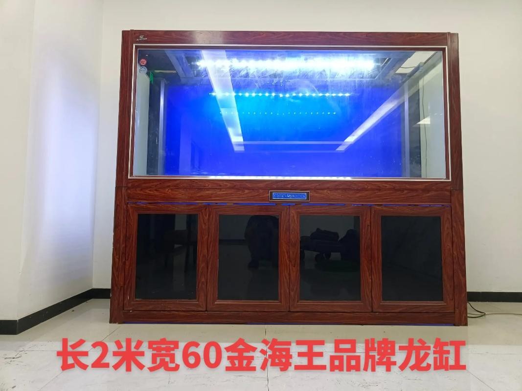 金海王麒麟系列有哪些特點？