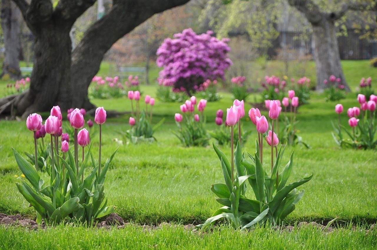 滑縣城關錦鋰花卉店（滑縣城關錦鋰花卉店電話）