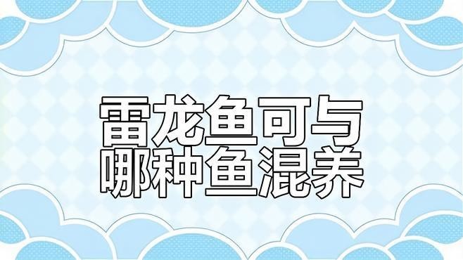 雷龍魚一般多少錢一條，和雷龍魚一般多少錢一條，雷龍魚一般多少錢一條 雷龍魚一般多少錢一條，和雷龍魚一般多少錢一條，雷龍魚一般多少錢一條 觀賞魚百科 第1張
