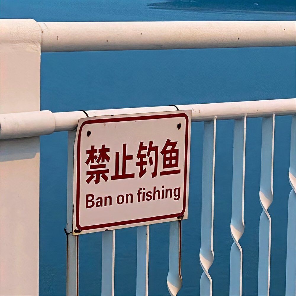 紅眼魚野生多少一斤