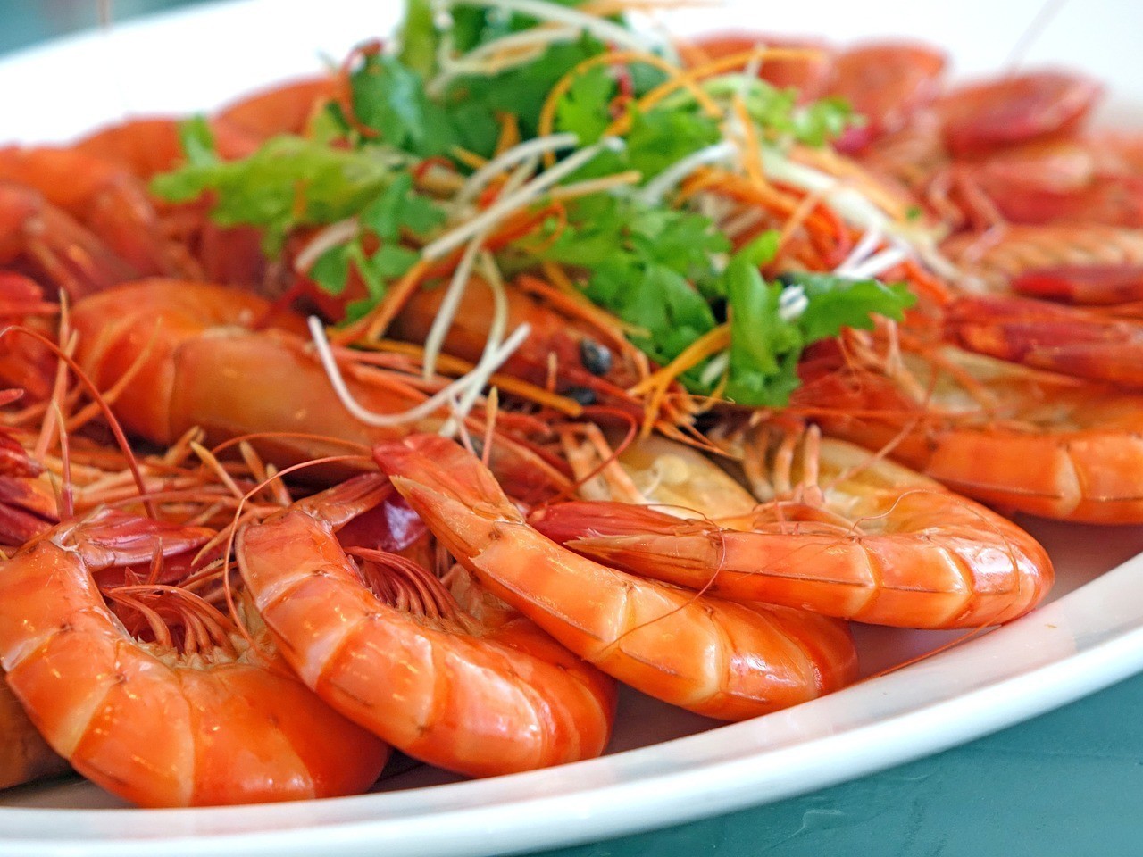 銀龍魚什么時候會寬身子（銀龍魚長得快不快）