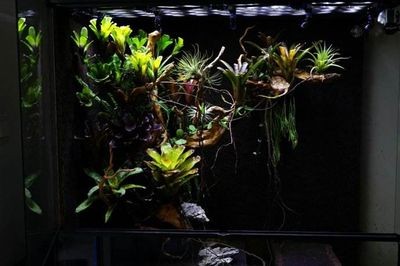 定制魚缸柜子設計需要考慮的幾個方面：定制魚缸柜子設計的實際案例和創意點子和創意點子