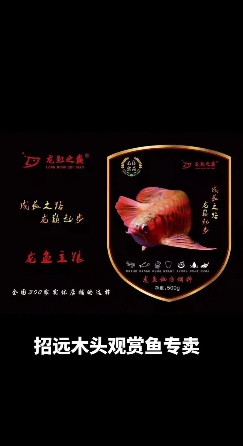 如何注冊龍魚之巔論壇賬號？ 如何注冊龍魚之巔論壇賬號？ 2025長城杯龍魚大賽 第4張