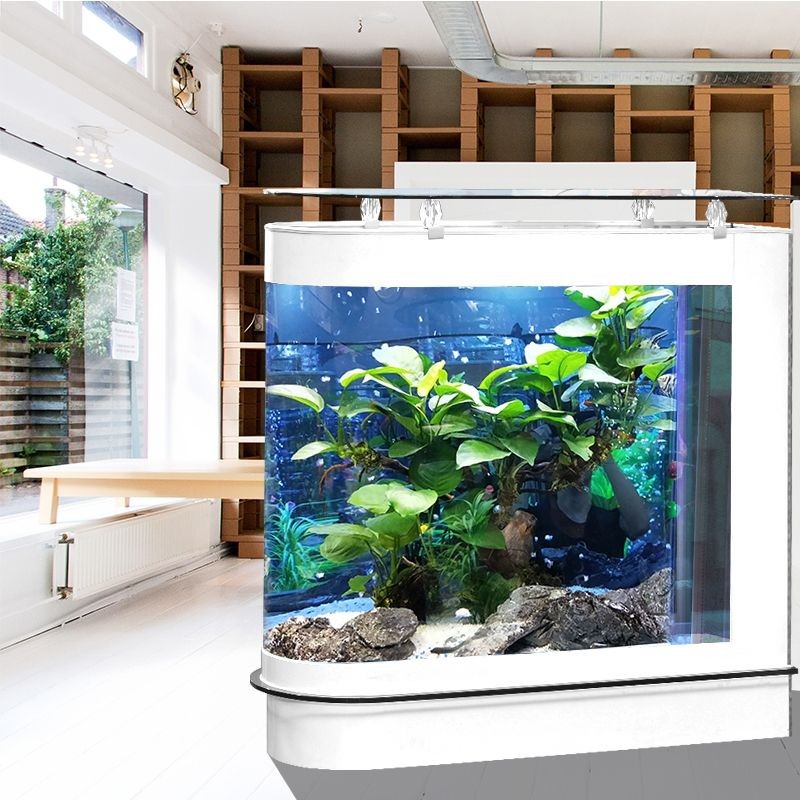 魚缸e0：海洋之星魚缸e0型號對比評測水族寶寶魚缸內部造景技巧分享
