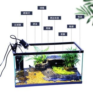 改裝魚缸頂部養綠植違法嗎？：改裝魚缸頂部養綠植是否違法