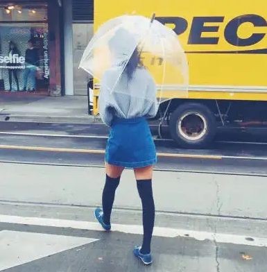 觀賞魚銀色扁扁的魚