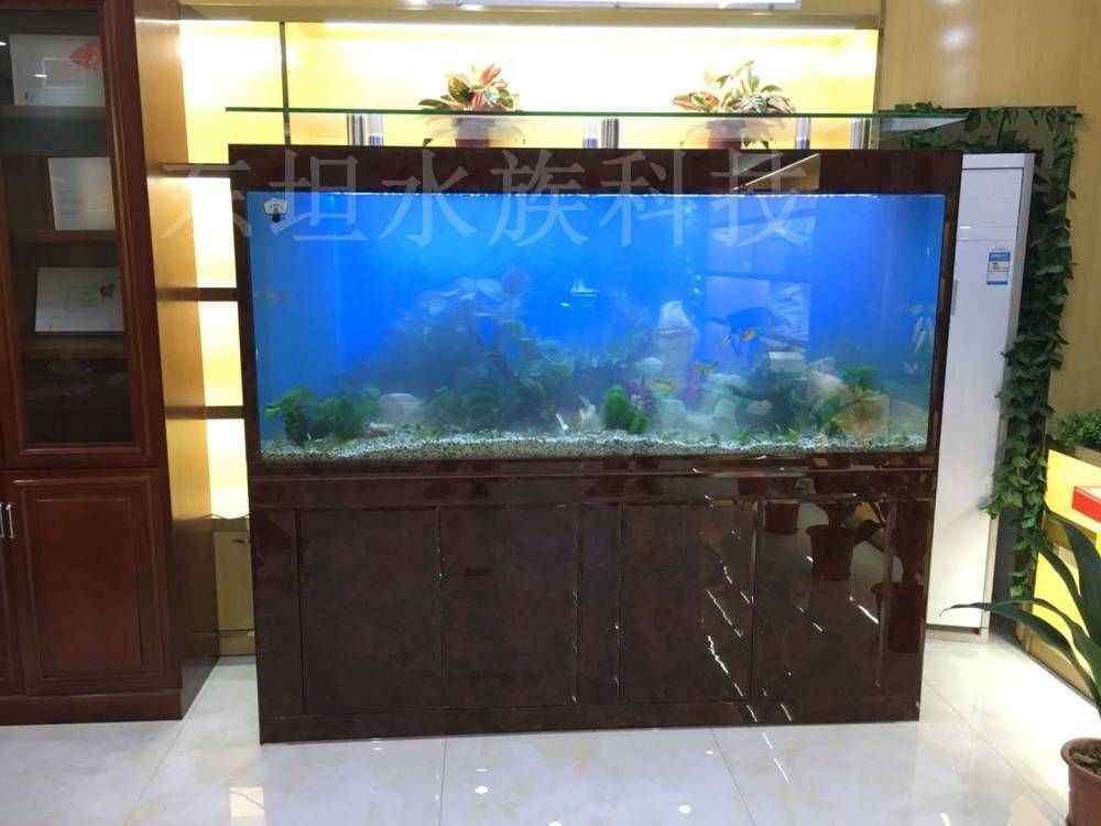 廣州定做大型魚缸的價格是多少：廣州定做大型魚缸價格 廣州定做大型魚缸的價格是多少：廣州定做大型魚缸價格 魚缸百科 第3張