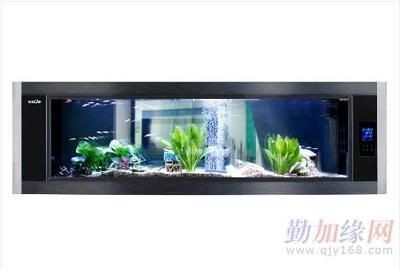 廣州定做大型魚缸的價格是多少：廣州定做大型魚缸價格 廣州定做大型魚缸的價格是多少：廣州定做大型魚缸價格 魚缸百科 第1張