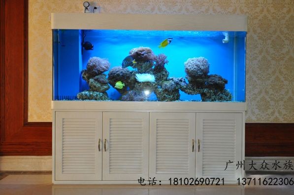 廣州定做大型魚缸的價格是多少：廣州定做大型魚缸價格 廣州定做大型魚缸的價格是多少：廣州定做大型魚缸價格 魚缸百科 第4張