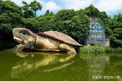 龍魚神龜傳說在線觀看國語：關(guān)于湖光巖龍魚神龜傳說的具體內(nèi)容