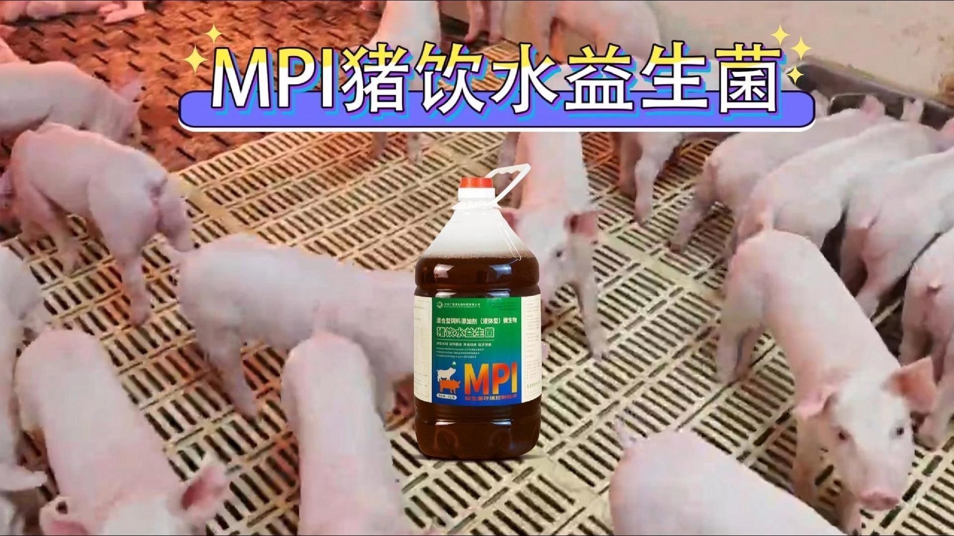 龍魚跳缸后如何快速恢復食欲？ 龍魚跳缸后如何快速恢復食欲？ 龍魚百科 第7張