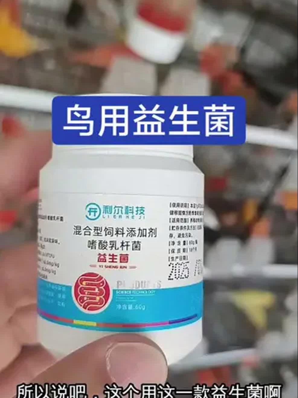 龍魚跳缸后如何快速恢復食欲？ 龍魚跳缸后如何快速恢復食欲？ 龍魚百科 第11張
