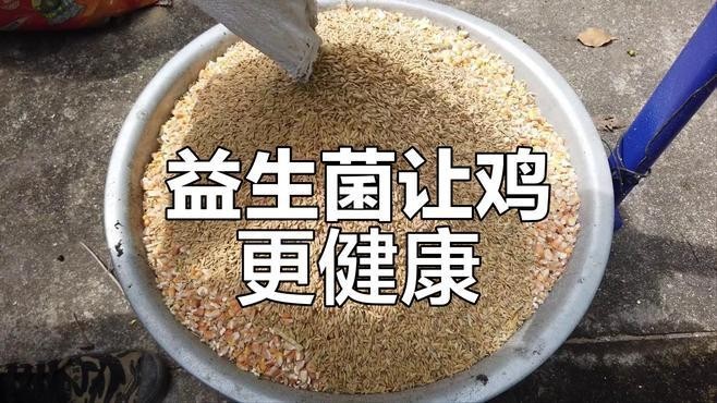 龍魚跳缸后如何快速恢復食欲？ 龍魚跳缸后如何快速恢復食欲？ 龍魚百科 第10張