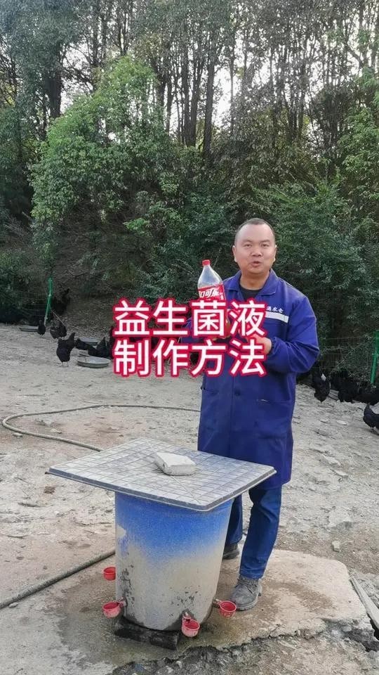 龍魚跳缸后如何快速恢復食欲？ 龍魚跳缸后如何快速恢復食欲？ 龍魚百科 第9張