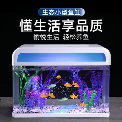 原神銀龍魚吃什么（原神銀龍魚在哪） 原神銀龍魚吃什么（原神銀龍魚在哪） 銀龍魚百科