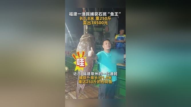 魚視頻