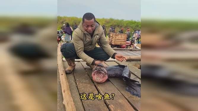 魚視頻