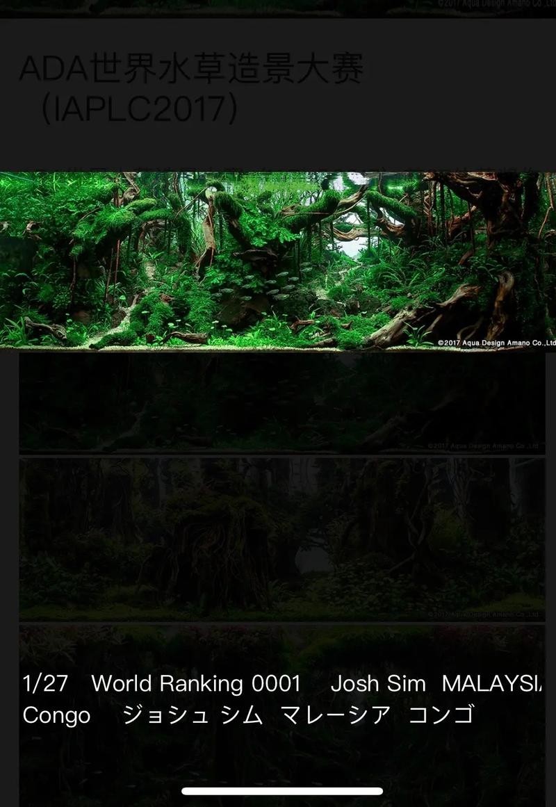 草缸造景大賽作品 草缸造景大賽作品 2025長(zhǎng)城杯龍魚大賽 第9張