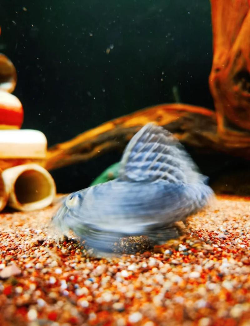 魚缸過濾系統安裝方法