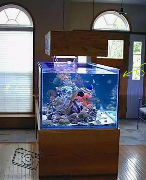 客廳怎么放魚缸最合理