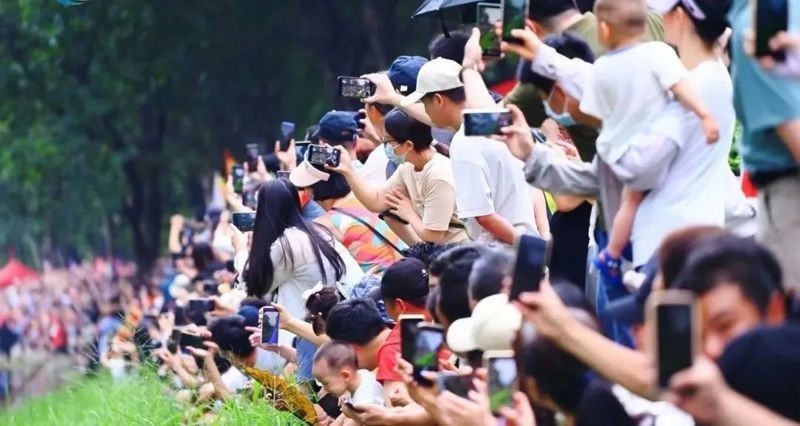 深涌龍舟賽的歷史和發展