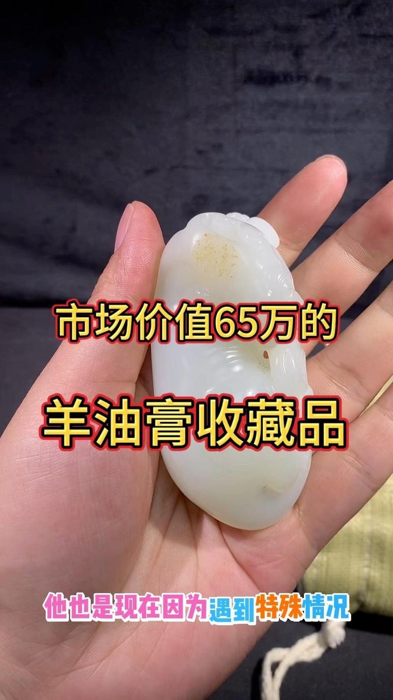 龍龜的市場價格如何？